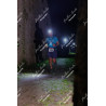 2025-11-15_21-41-46_JI_L8246_ps