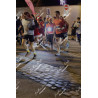 2025-12-06_18-13-29_JI_L3208_ps