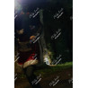 2025-12-06_18-20-43_MAI_4774_ps