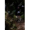 2025-12-06_19-28-39_JI_L0865_ps