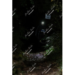 2025-12-06_19-55-53_JI_L2088_ps