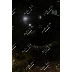 2025-12-06_20-06-54_JI_L2526_ps