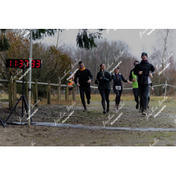 2026-02-01_11-37-33_JI_L0715_ps