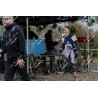 2026-02-01_11-42-01_JI_L0915_ps