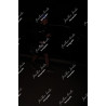 2026-04-18_05-46-46_JI_L0596_ps