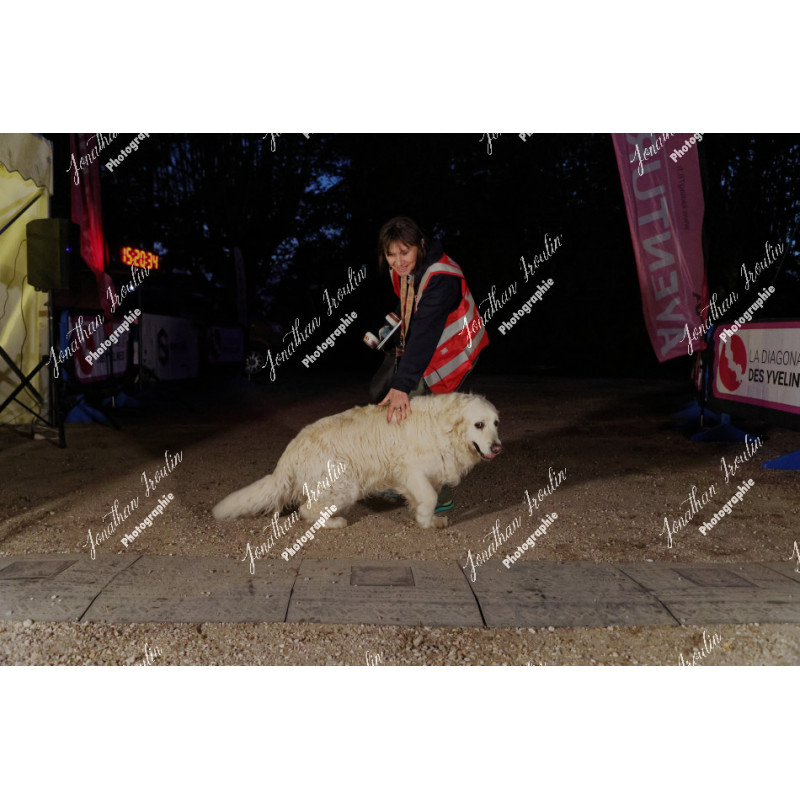 2026-04-18_21-26-57_JI_L2176_ps