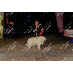 2026-04-18_21-26-57_JI_L2177_ps