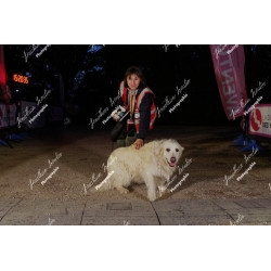 2026-04-18_21-26-57_JI_L2178_ps