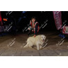 2026-04-18_21-26-57_JI_L2178_ps