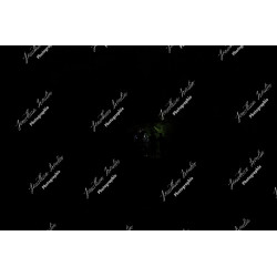 2026-04-18_06-22-53_JI_L0735_ps