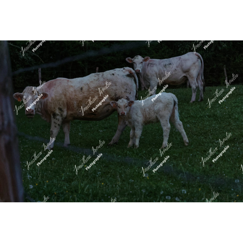 2026-04-18_06-36-50_JI_L0004_ps