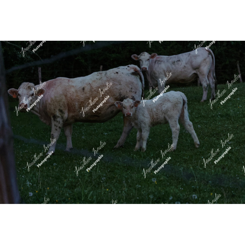 2026-04-18_06-36-52_JI_L0005_ps