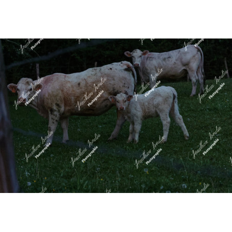 2026-04-18_06-36-52_JI_L0005_ps