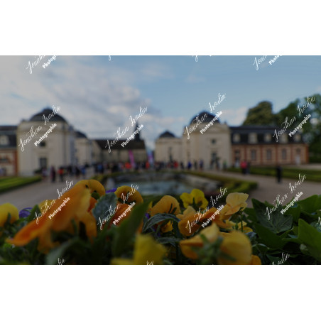 2026-04-18_09-22-03_JI_L0448_ps
