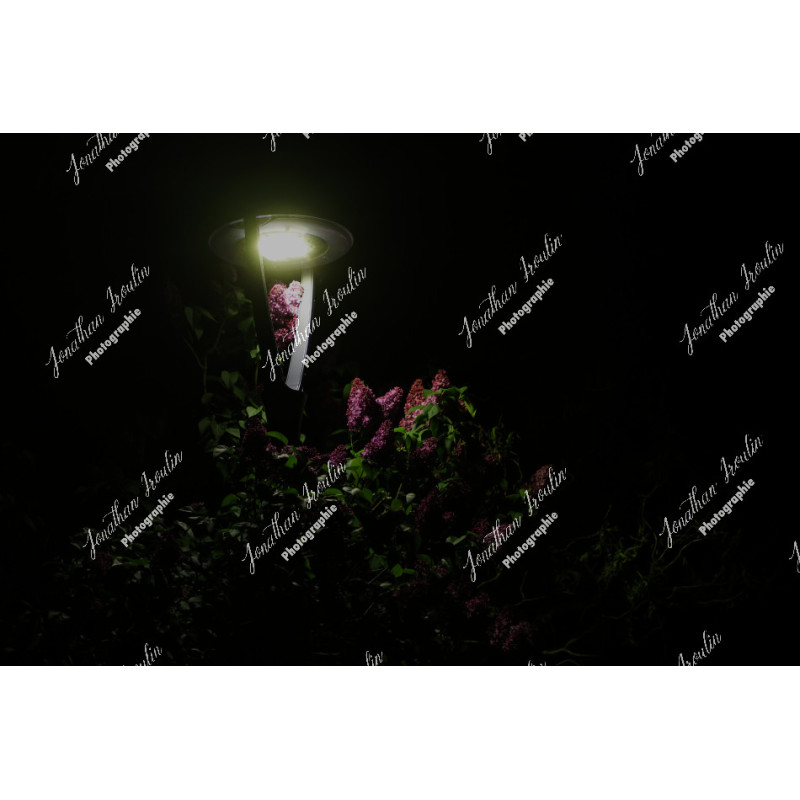 2026-04-18_05-52-02_JI_L0001_ps