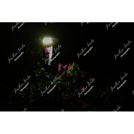 2026-04-18_05-52-02_JI_L0001_ps