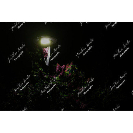 2026-04-18_05-52-04_JI_L0002_ps
