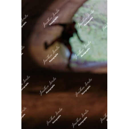 2026-04-18_07-19-51_JI_L0259_ps
