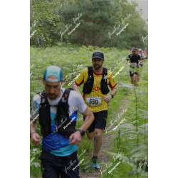 2026-05-31_07-58-01_JI_L0247_ps