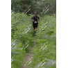 2026-05-31_08-04-41_JI_L0448_ps