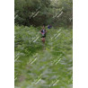 2026-05-31_08-05-57_JI_L0472_ps