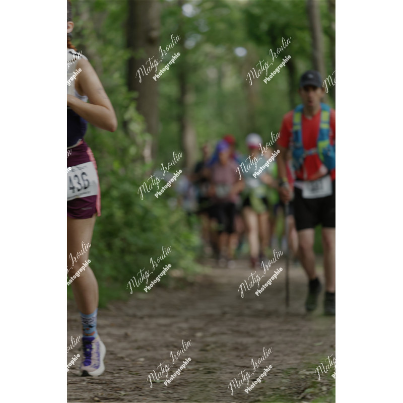 2026-05-31_09-04-13_MAI_5017_ps