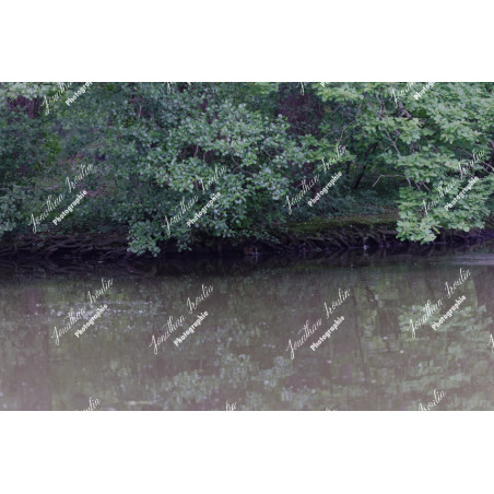 2026-05-31_06-41-19_JI_L0009_ps