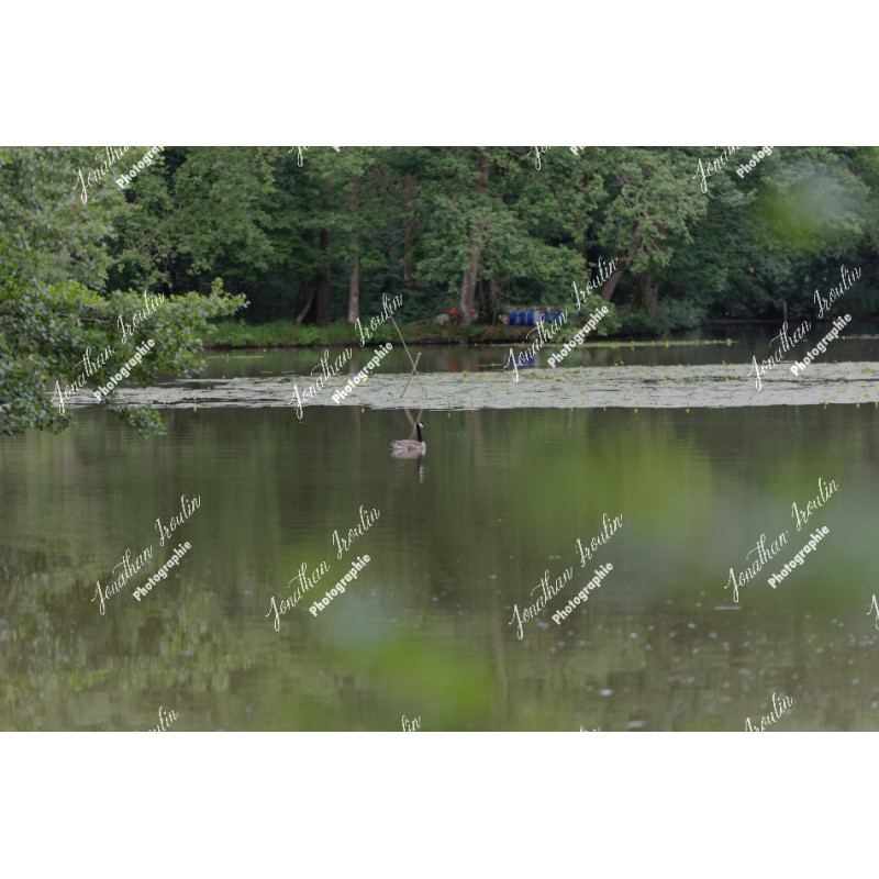 2026-05-31_06-41-30_JI_L0010_ps