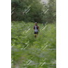 2026-05-31_07-54-57_JI_L0199_ps