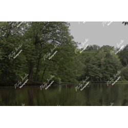2026-05-31_06-44-55_MAI_3478_ps
