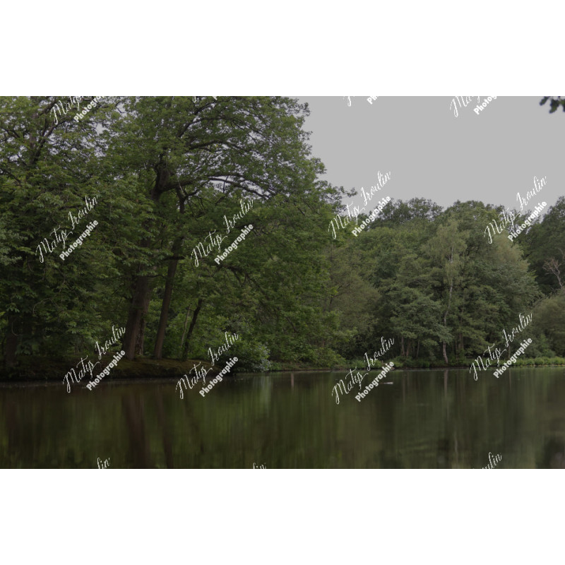2026-05-31_06-44-55_MAI_3478_ps