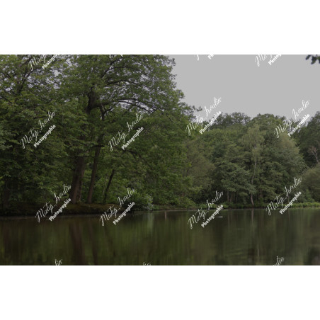 2026-05-31_06-44-55_MAI_3478_ps