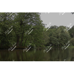 2026-05-31_06-44-55_MAI_3479_ps