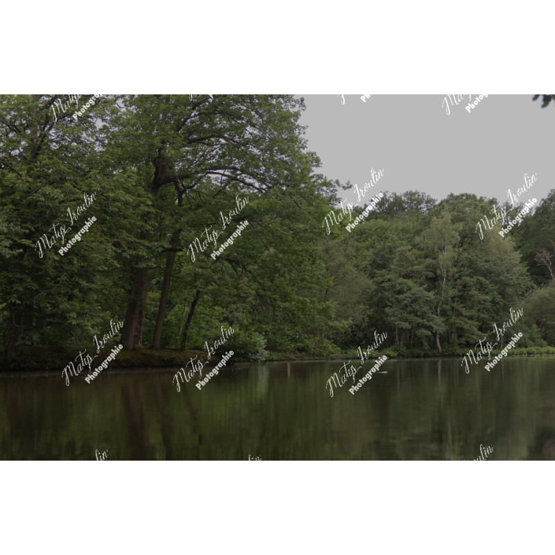 2026-05-31_06-44-55_MAI_3479_ps