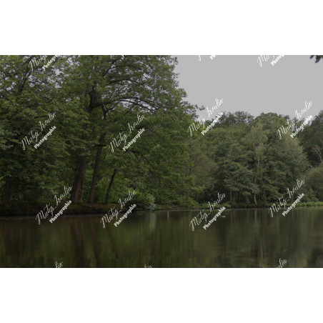 2026-05-31_06-44-55_MAI_3479_ps