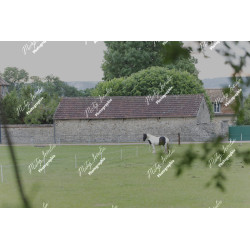 2026-05-31_06-49-24_MAI_3481_ps