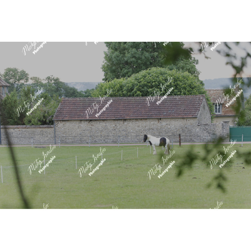 2026-05-31_06-49-24_MAI_3481_ps