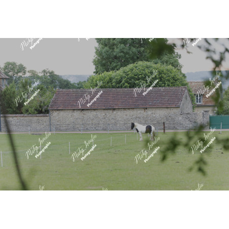 2026-05-31_06-49-24_MAI_3481_ps
