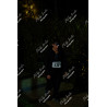 2025-11-15_22-19-11_MAI_8729_ps